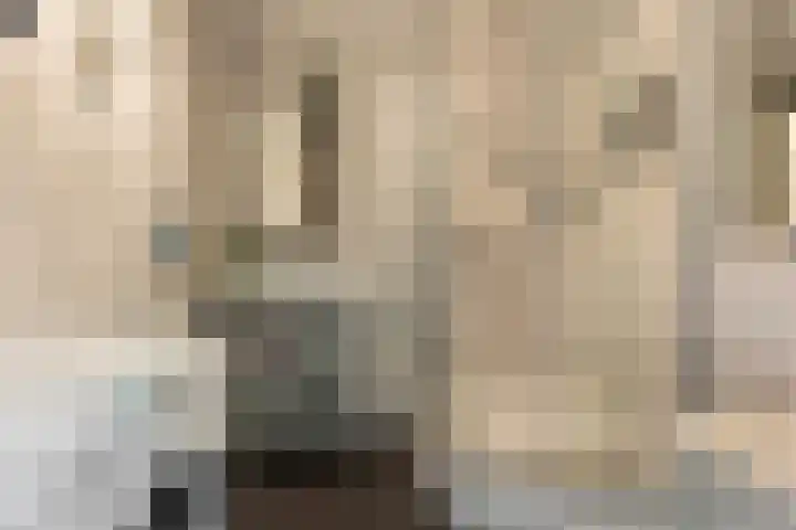 Kooikersdreef 75 Apeldoorn thumbnail 21