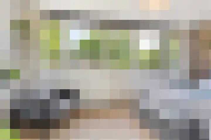 Kooikersdreef 75 Apeldoorn thumbnail 22