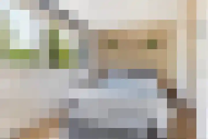 Kooikersdreef 75 Apeldoorn thumbnail 23