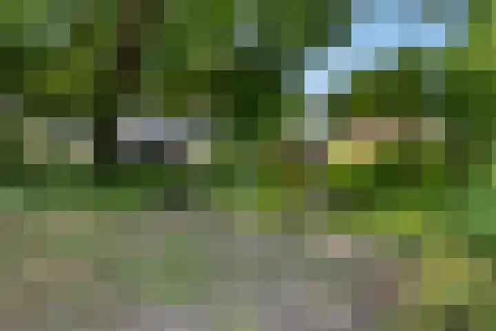 Kooikersdreef 75 Apeldoorn thumbnail 27