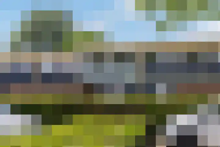 Kooikersdreef 75 Apeldoorn thumbnail 37