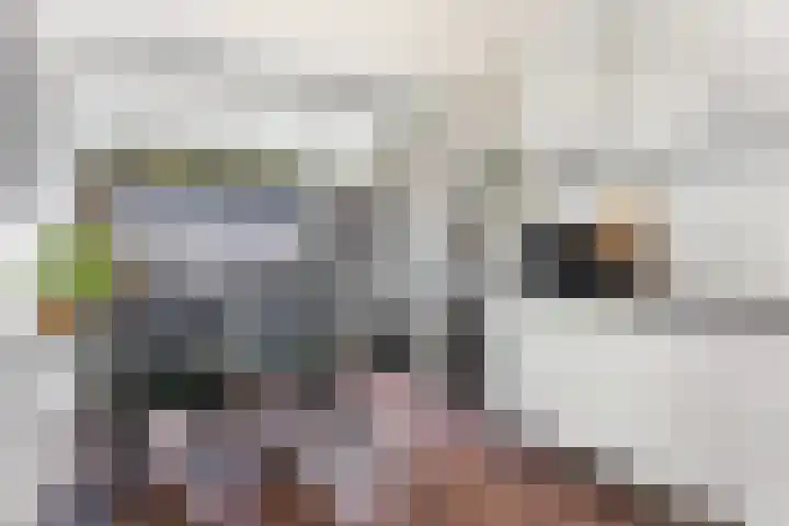 Kooikersdreef 75 Apeldoorn thumbnail 4