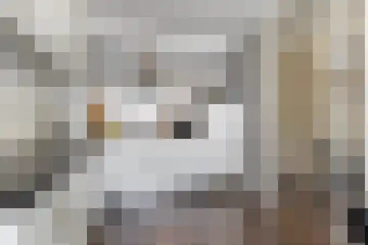 Kooikersdreef 75 Apeldoorn thumbnail 5