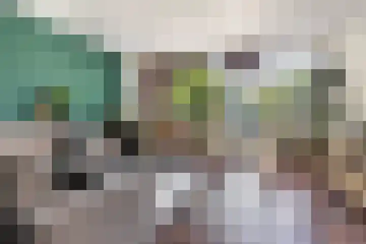 Kooikersdreef 75 Apeldoorn thumbnail 6