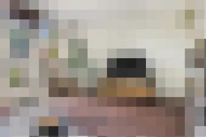 Kooikersdreef 75 Apeldoorn thumbnail 7
