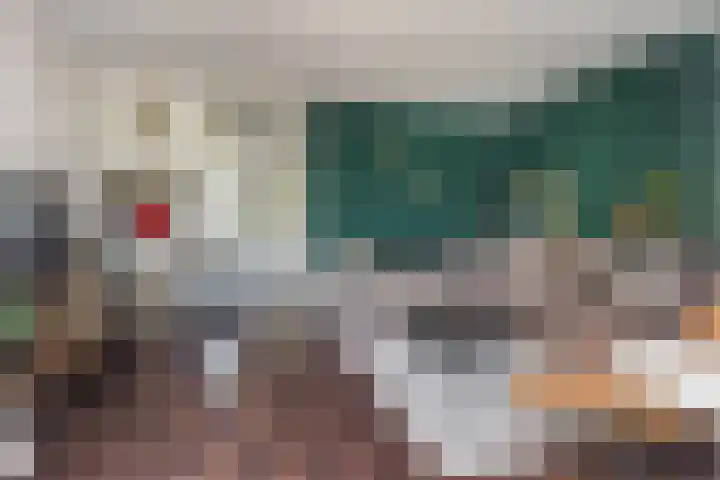 Kooikersdreef 75 Apeldoorn thumbnail 8