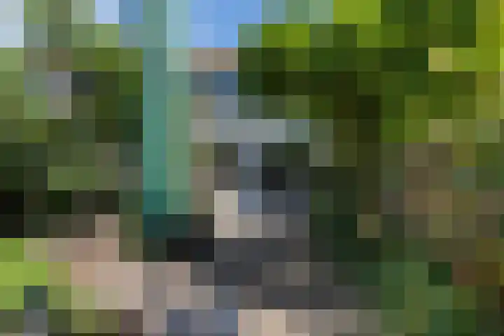 Kooikersdreef 75 Apeldoorn thumbnail 9