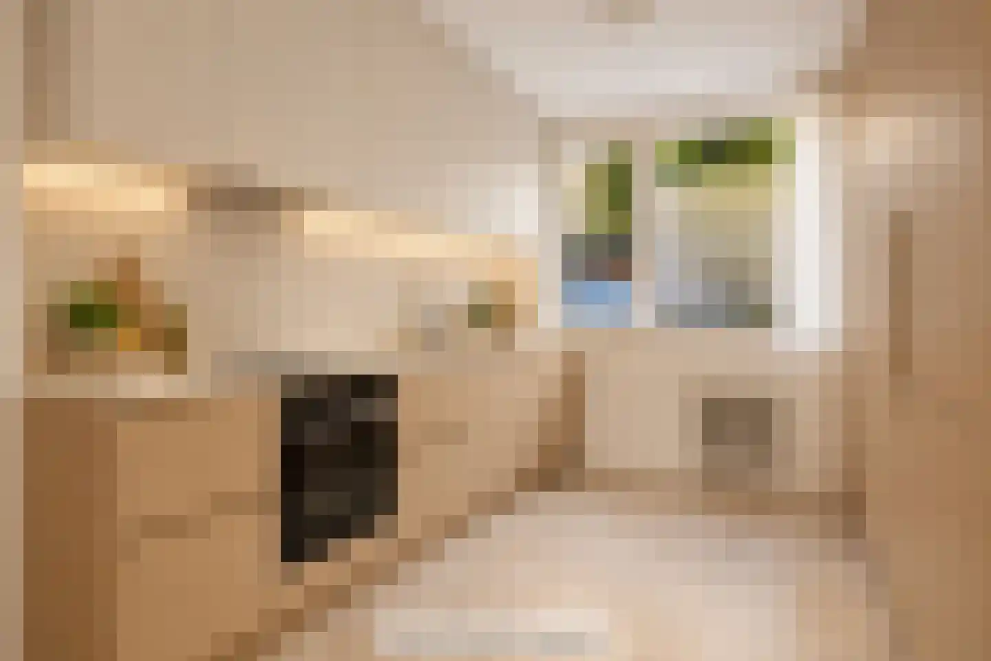 Kooikersdreef 76 Apeldoorn thumbnail 8