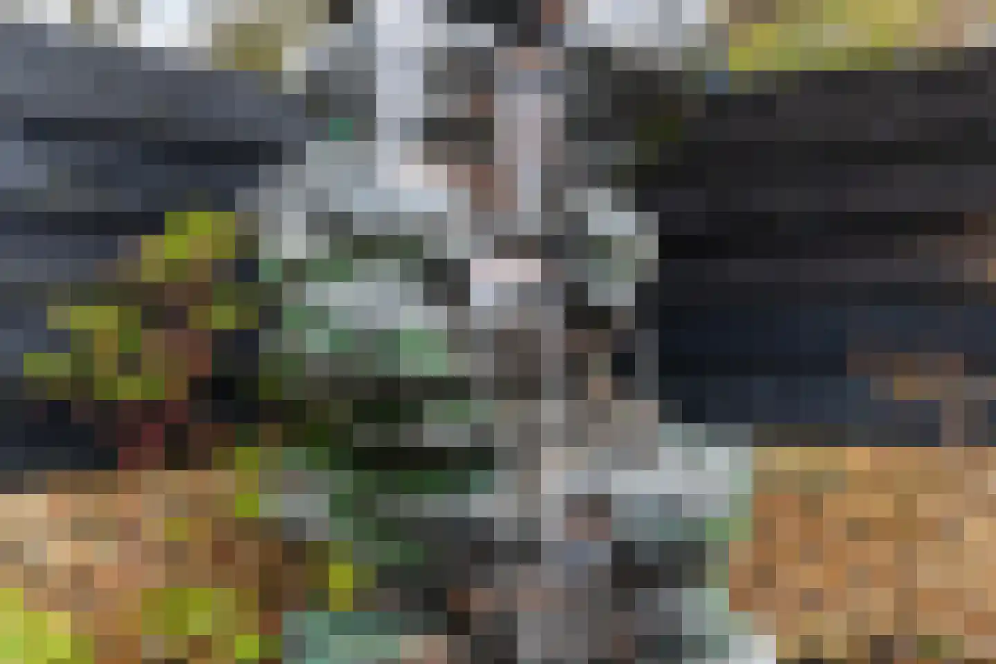 Kooikersdreef 83 Apeldoorn thumbnail 18