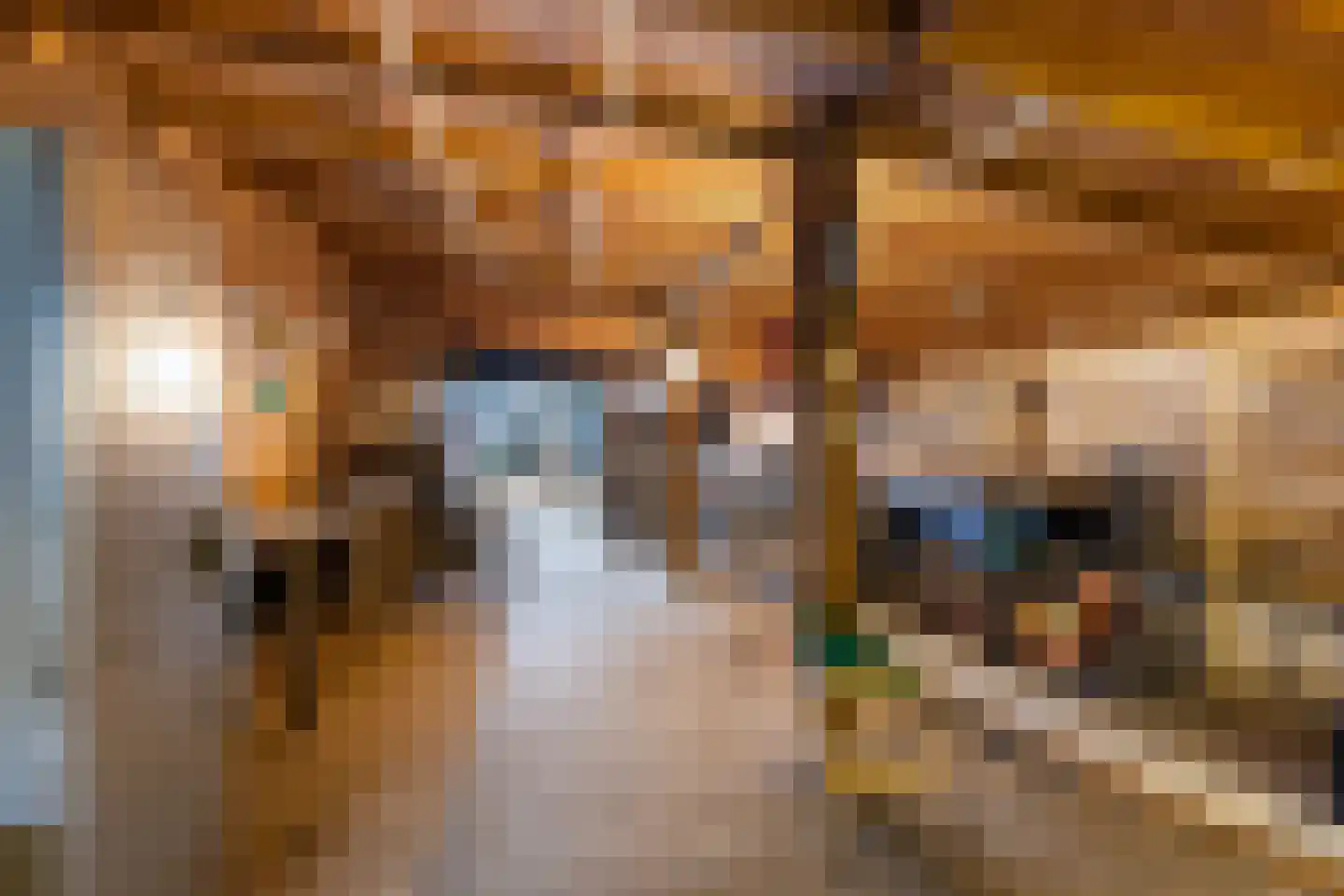 Kooikersdreef 83 Apeldoorn thumbnail 27