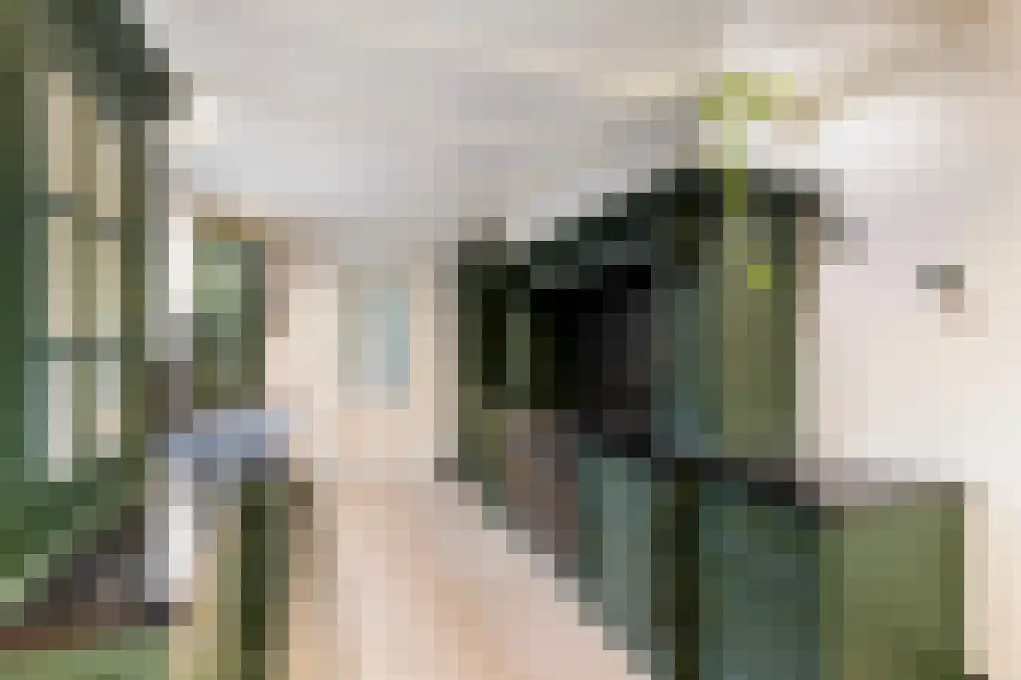 Kooikersdreef 83 Apeldoorn thumbnail 4