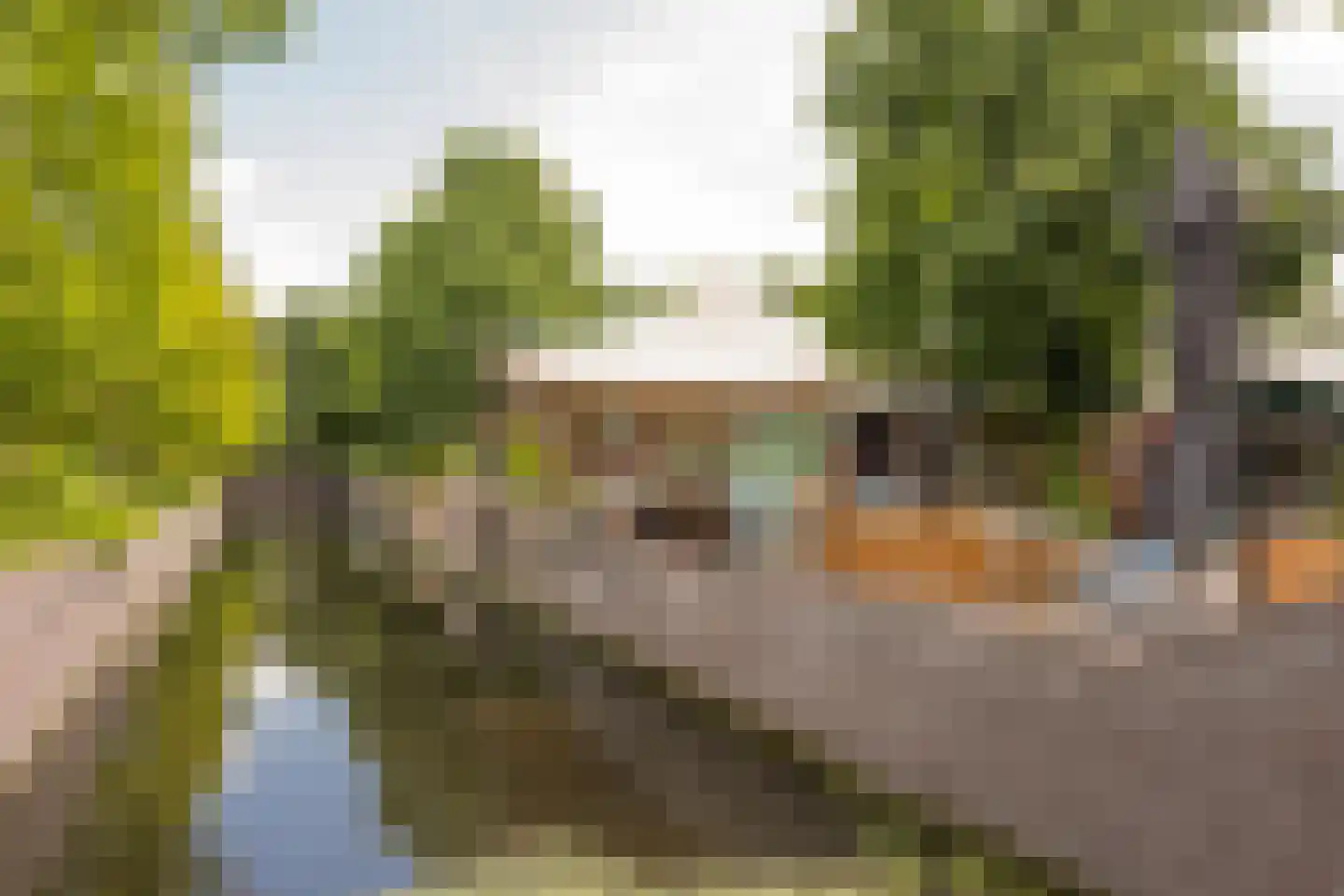 Kooikersgracht 3 b Leusden thumbnail 17