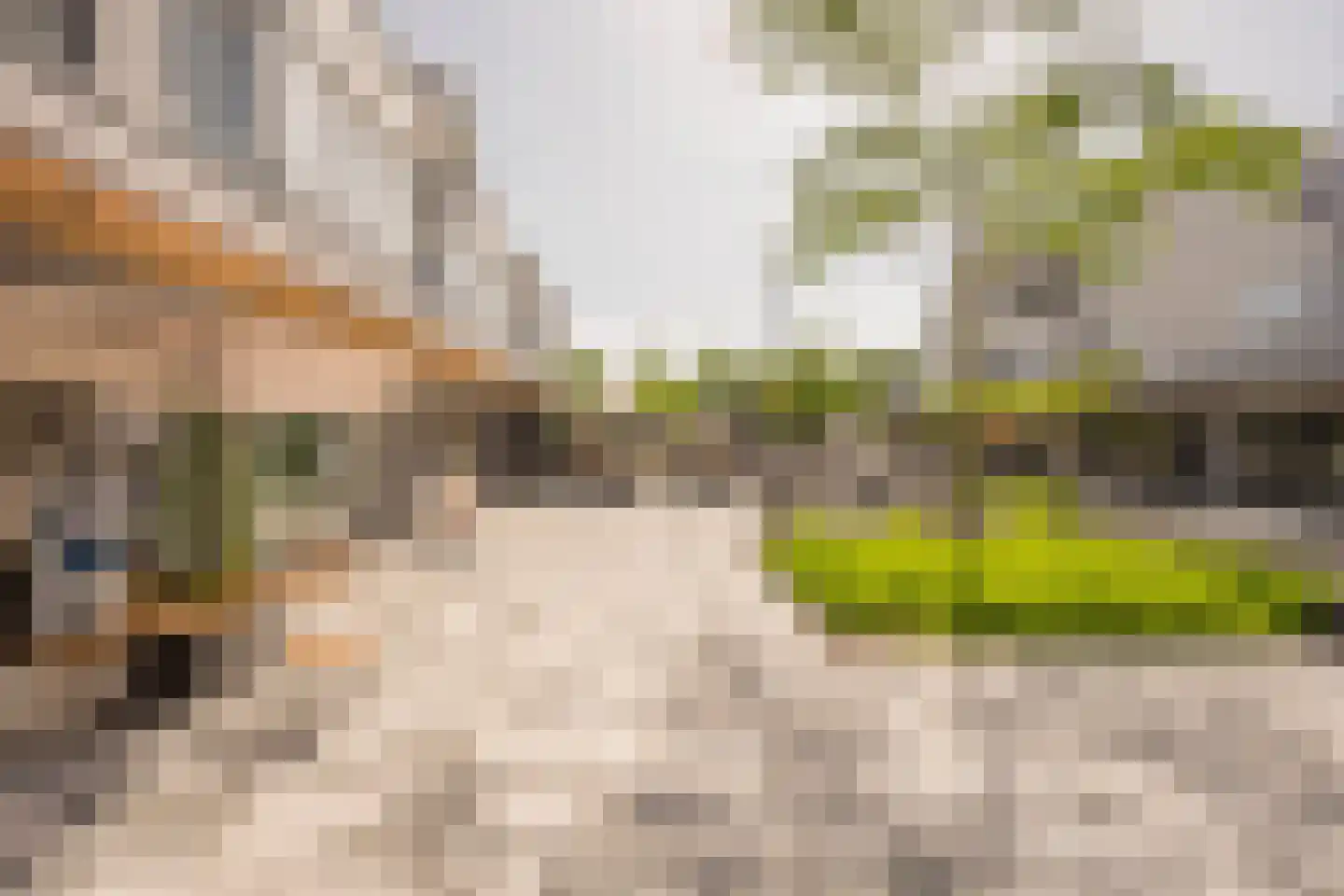 Kooikersgracht 3 e Leusden thumbnail 15