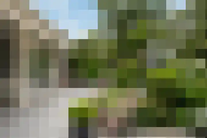 Kooikersplein 2 A Bilthoven thumbnail 25