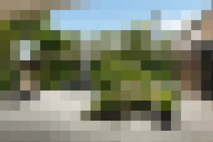 Kooikersplein 2 A Bilthoven thumbnail 28