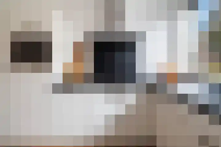 Kooikerstraat 38 Alphen aan den Rijn thumbnail 34
