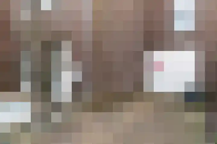 Kooikerstraat 51 Alphen aan den Rijn thumbnail 10