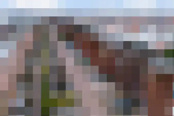 Kooikerstraat 51 Alphen aan den Rijn thumbnail 5