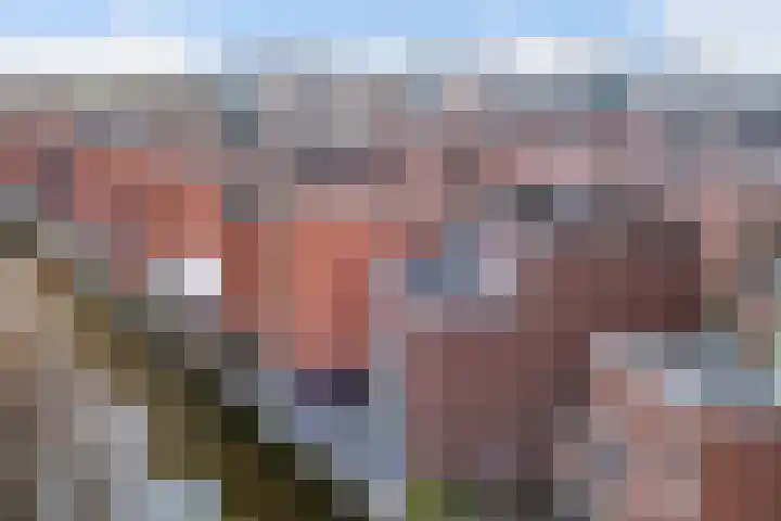 Kooikerstraat 51 Alphen aan den Rijn thumbnail 54