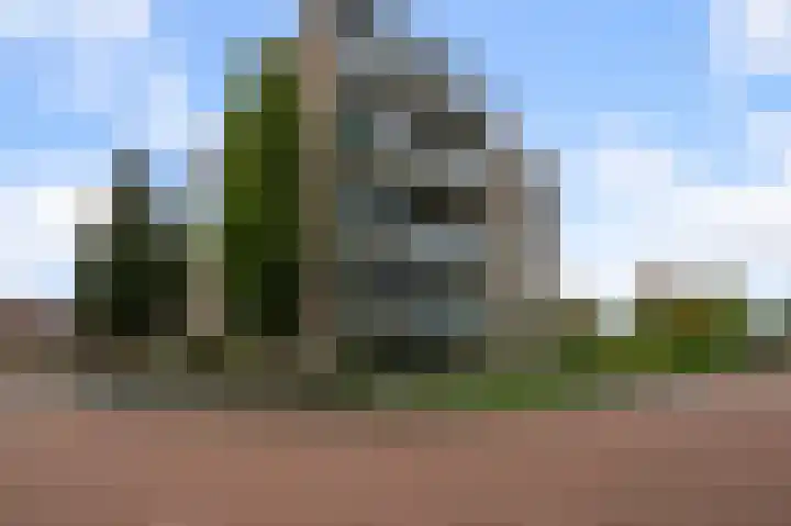 Kooikerstraat 97 in Alphen aan den Rijn