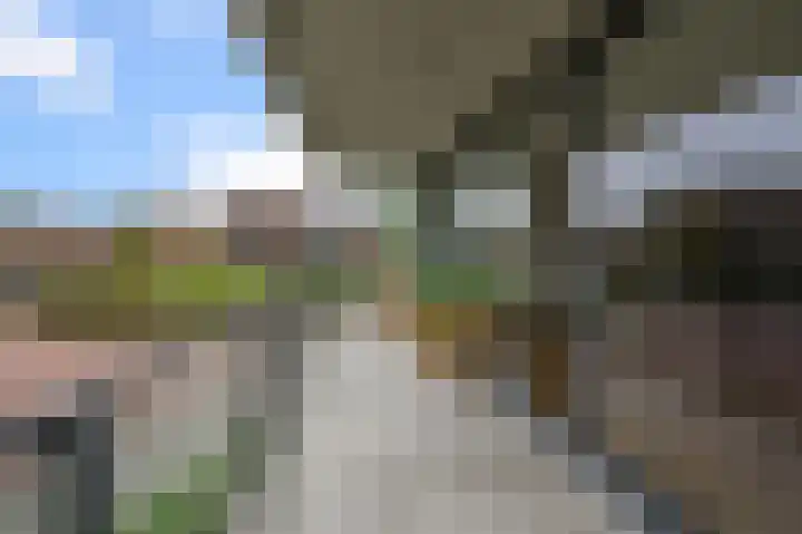 Kooikerstraat 97 Alphen aan den Rijn thumbnail 30