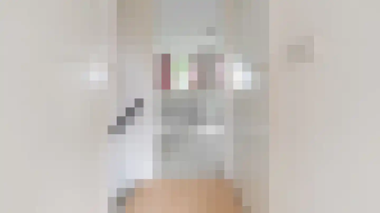 Kooikersweg 15 Almelo thumbnail 17