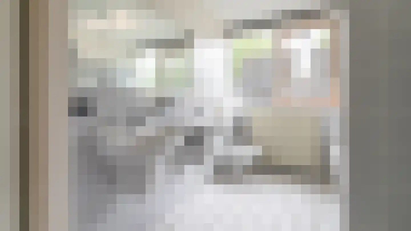 Kooikersweg 15 Almelo thumbnail 22