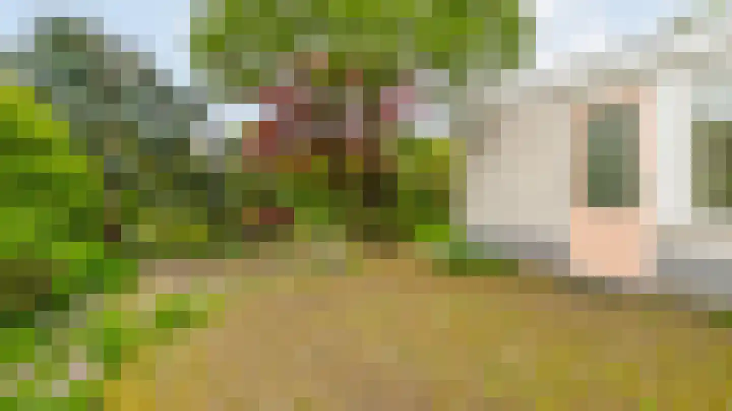 Kooikersweg 15 Almelo thumbnail 27