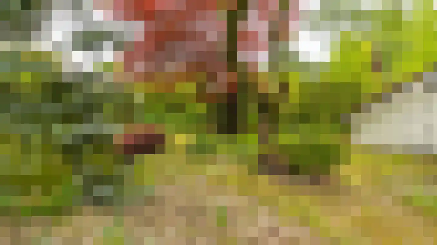 Kooikersweg 15 Almelo thumbnail 28
