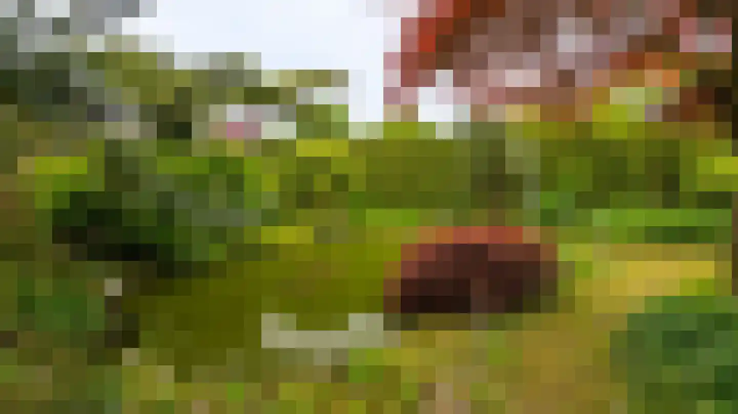 Kooikersweg 15 Almelo thumbnail 29