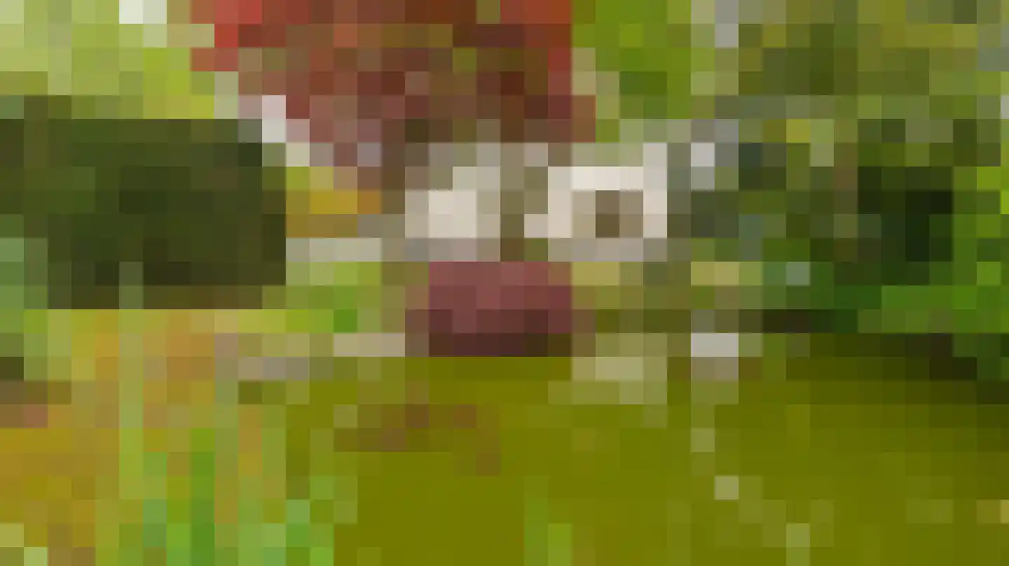 Kooikersweg 15 Almelo thumbnail 31