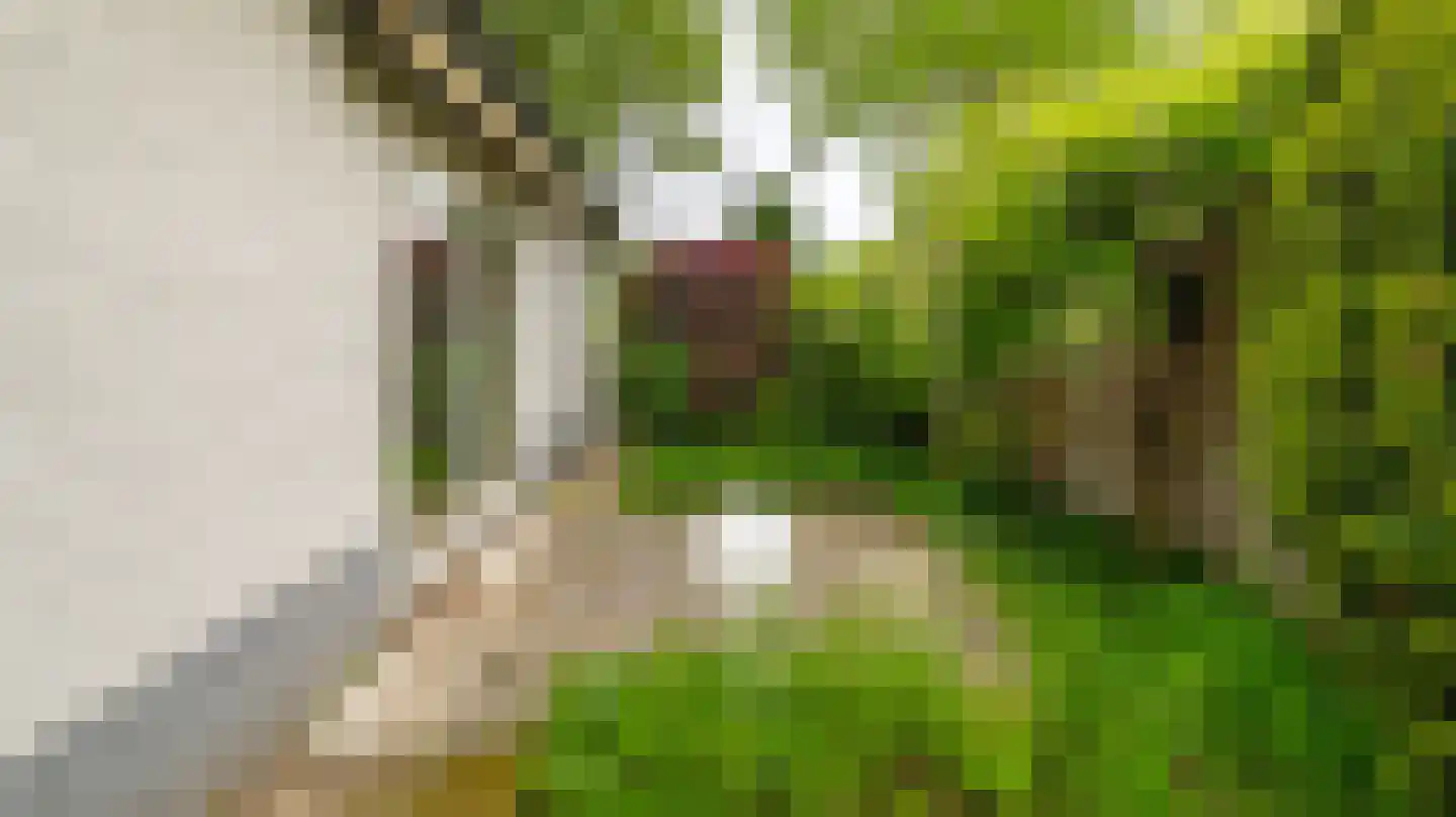 Kooikersweg 15 Almelo thumbnail 32
