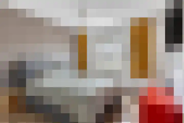 Kooikersweg 309 's-Hertogenbosch thumbnail 15