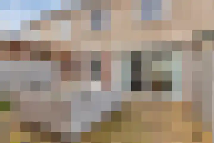 Kooikersweg 309 's-Hertogenbosch thumbnail 26