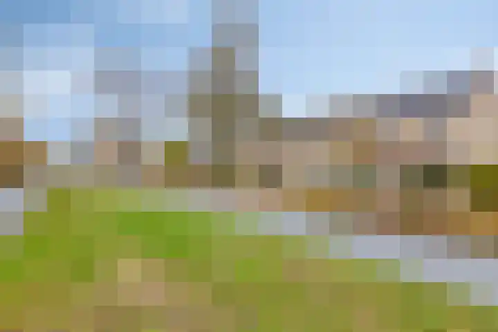 Kooikersweg 309 's-Hertogenbosch thumbnail 30