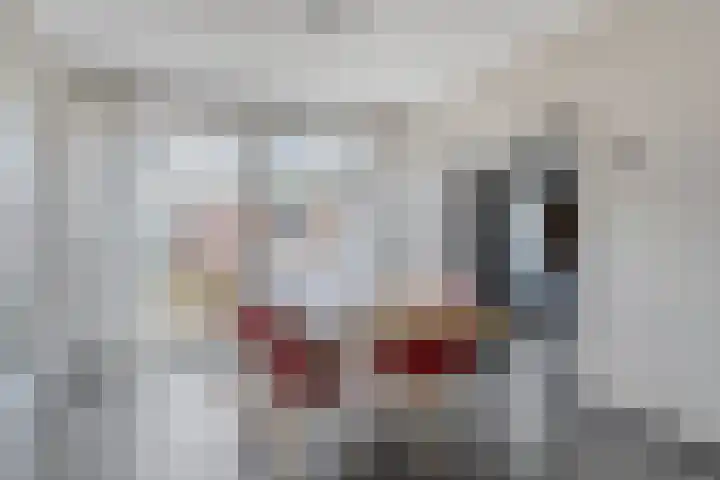 Kooikersweg 309 's-Hertogenbosch thumbnail 7