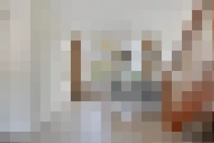 Kooikersweg 343 's-Hertogenbosch thumbnail 15