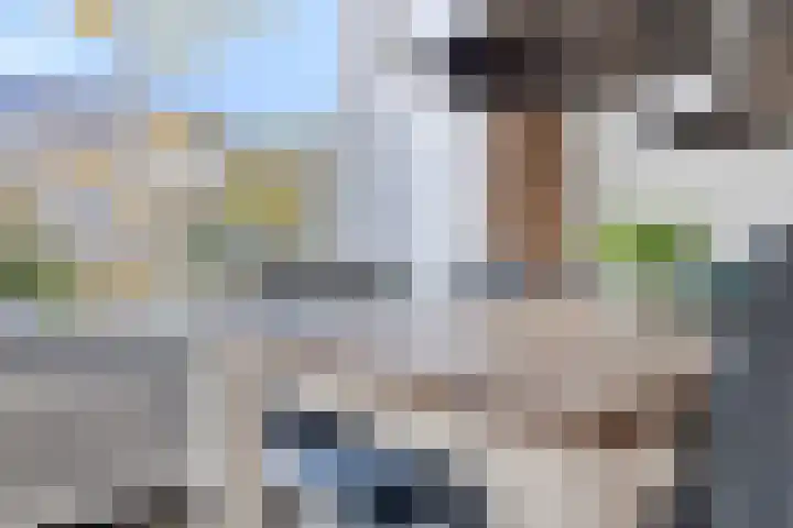 Kooikersweg 343 's-Hertogenbosch thumbnail 16