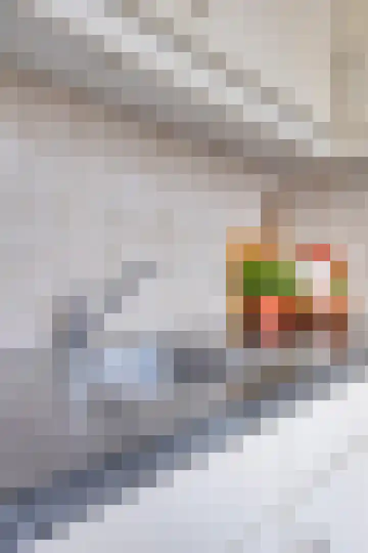Kooikersweg 343 's-Hertogenbosch thumbnail 20