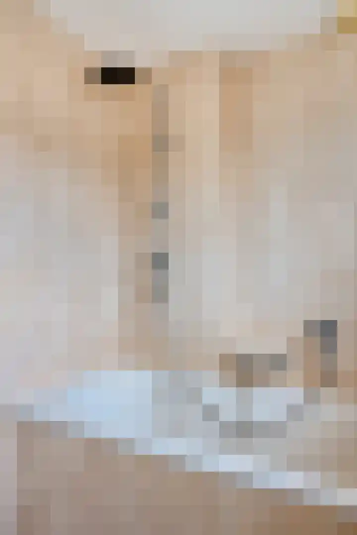 Kooikersweg 343 's-Hertogenbosch thumbnail 30