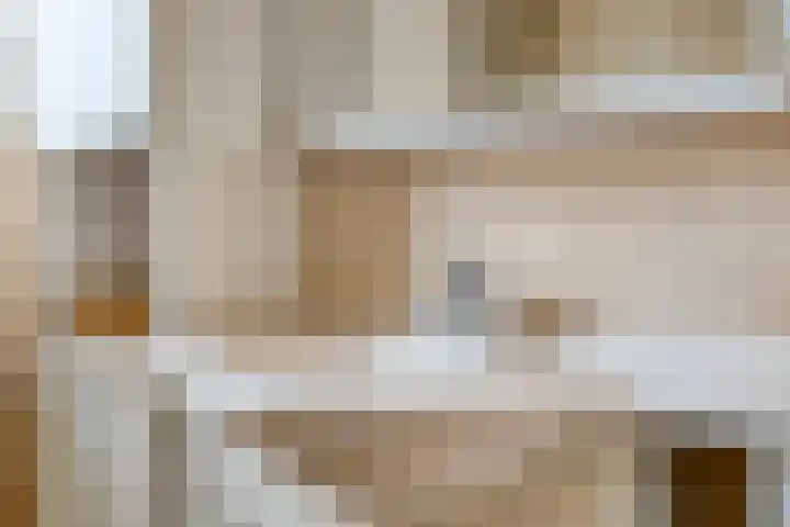 Kooikersweg 343 's-Hertogenbosch thumbnail 32