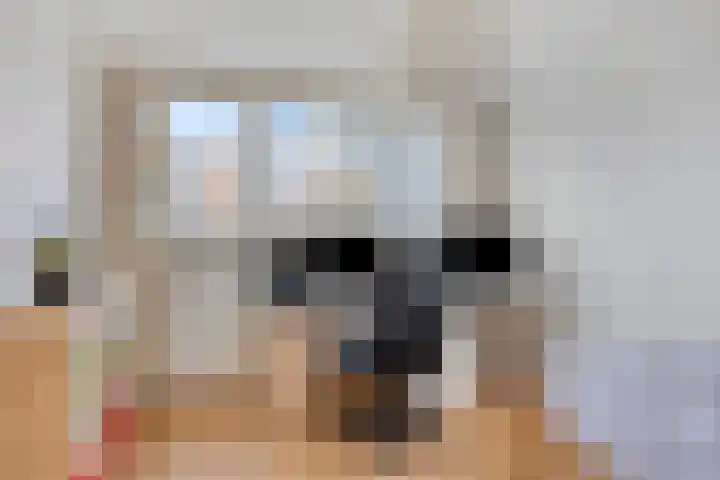 Kooikersweg 343 's-Hertogenbosch thumbnail 33