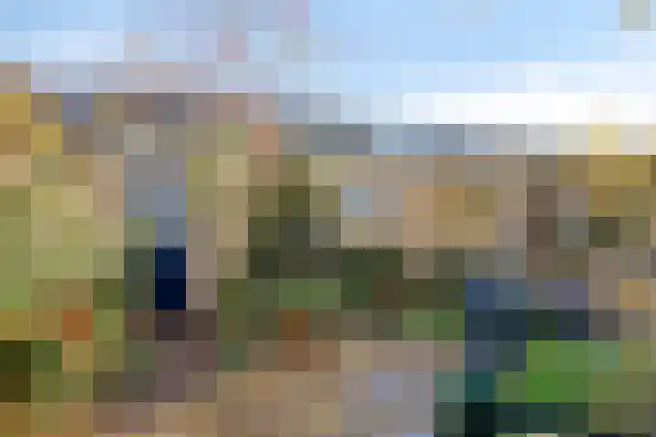 Kooikersweg 343 's-Hertogenbosch thumbnail 44