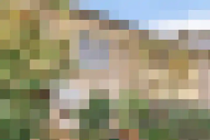 Kooikersweg 343 's-Hertogenbosch thumbnail 46