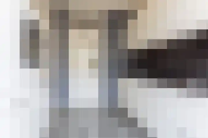 Kooikersweg 362 's-Hertogenbosch thumbnail 10