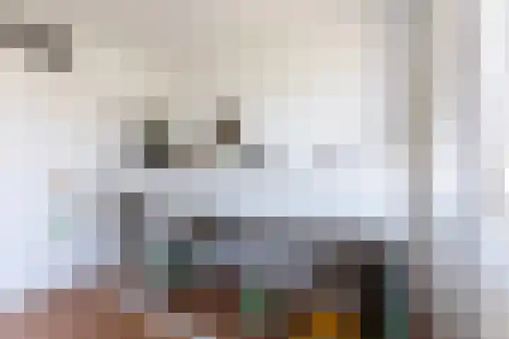 Kooikersweg 362 's-Hertogenbosch thumbnail 16
