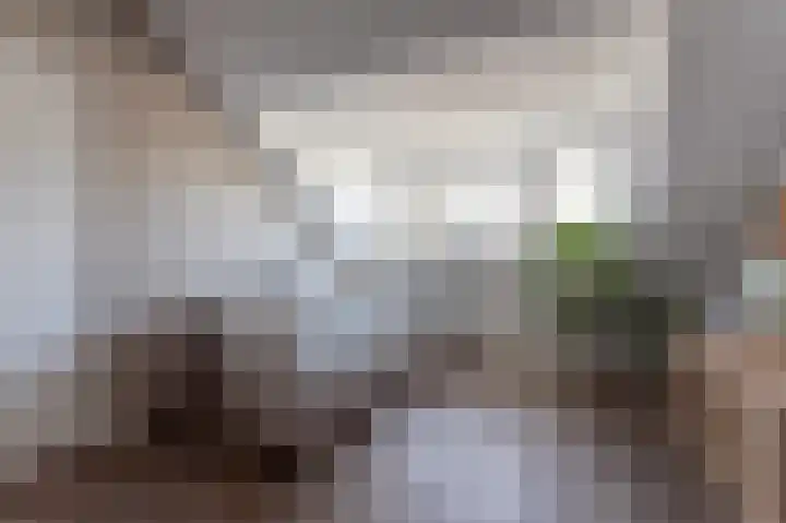 Kooikersweg 362 's-Hertogenbosch thumbnail 23
