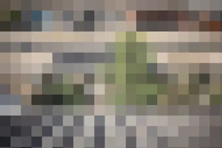 Kooikersweg 362 's-Hertogenbosch thumbnail 28