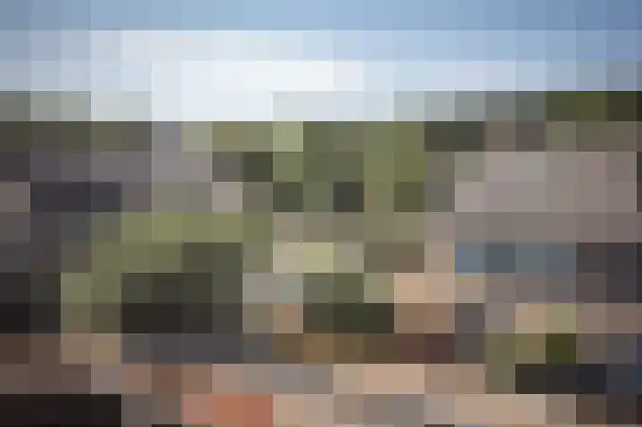 Kooikersweg 362 's-Hertogenbosch thumbnail 29
