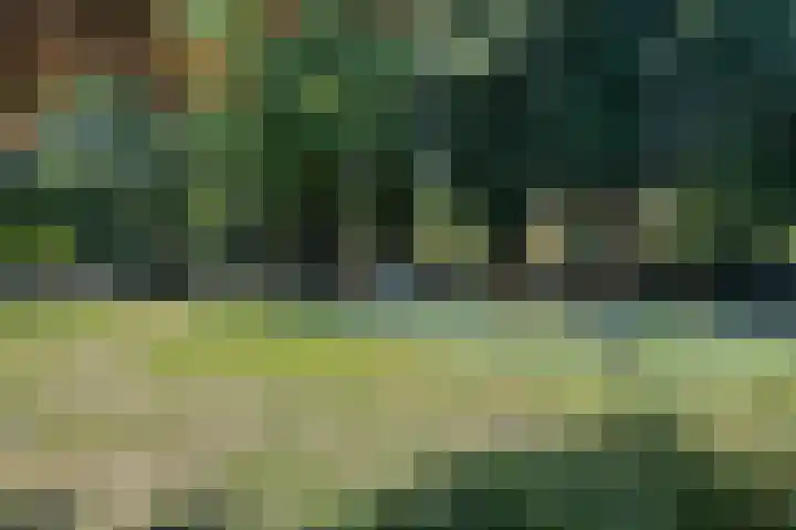 Kooikersweg 362 's-Hertogenbosch thumbnail 30